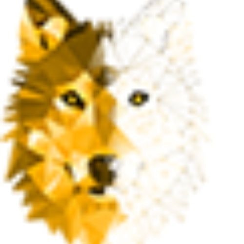 globalfoxevents agency