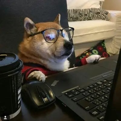 骆驼坤子❤️ Memecoin