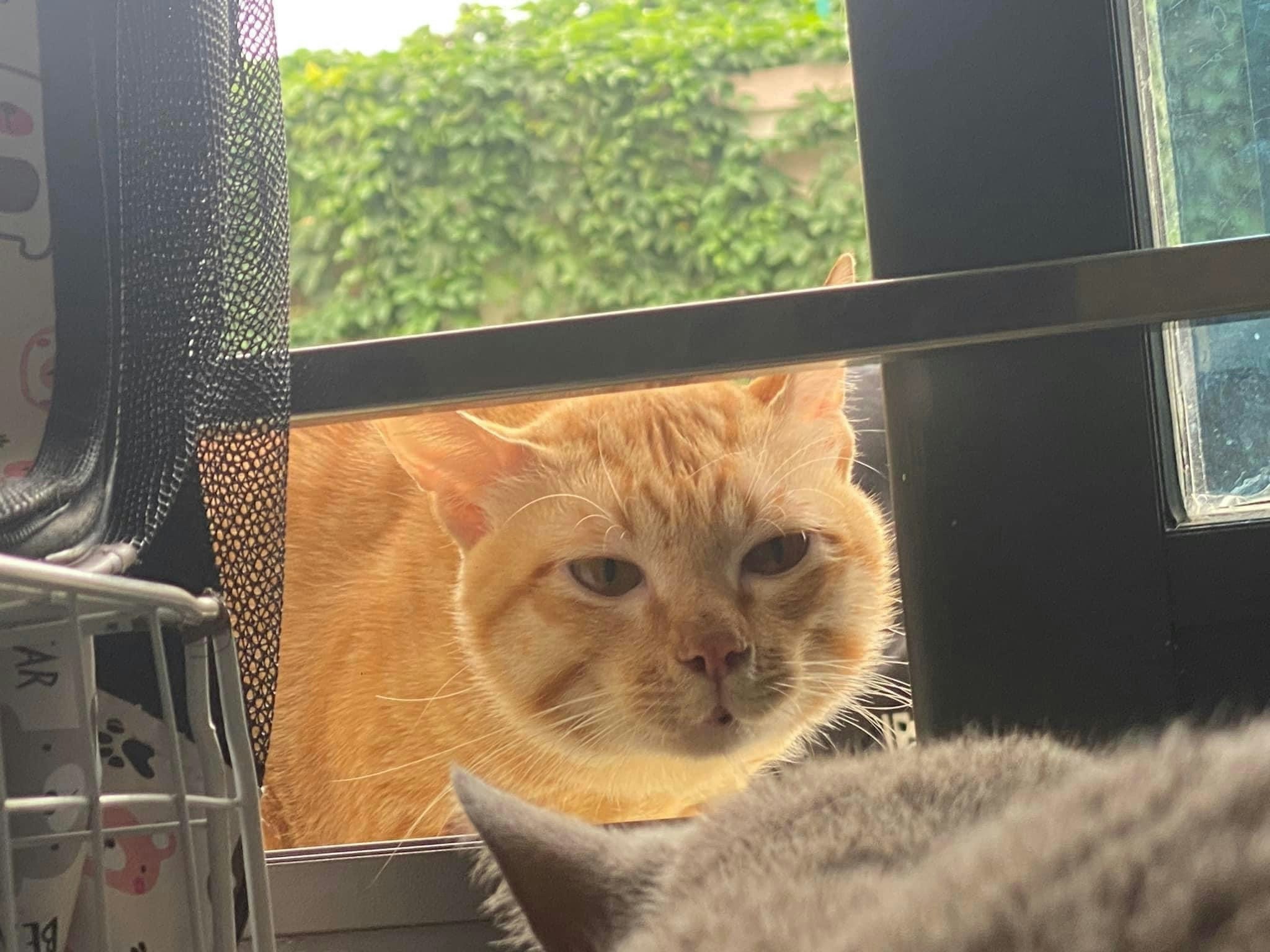 Trần Nguyễn Mai Phương