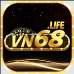 vn68life