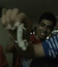 Jhan Eduardo Chumpitaz Espichan