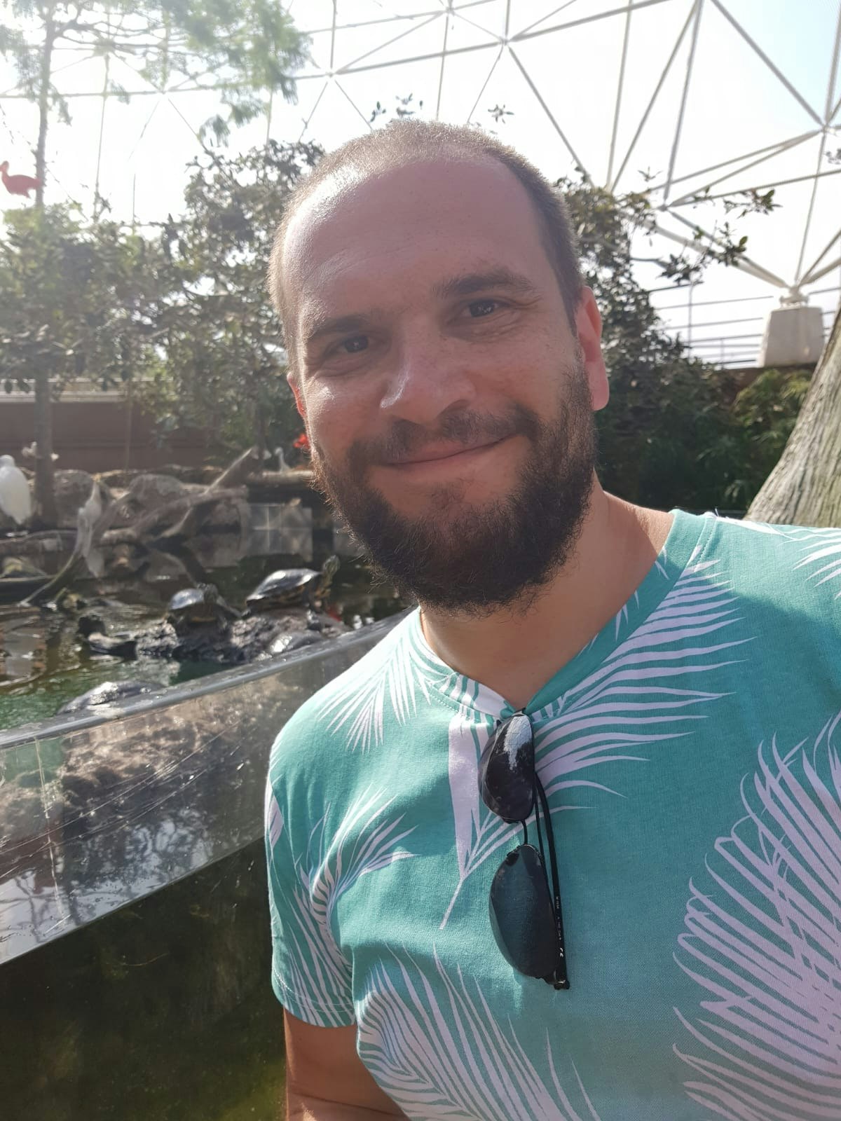 Родион Кузнецов