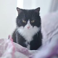 Trần Lâm Nhật Nam