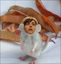 Sandrine-Bérénice Swann