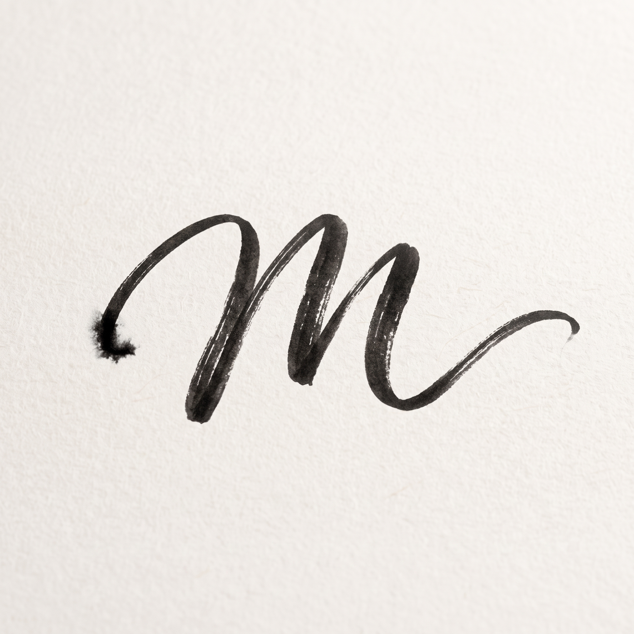 Moran Studio