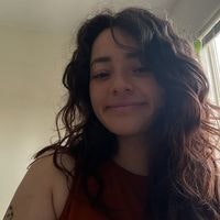Maria Del Castillo Schmidhuber