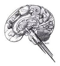 Михаил Иноземцев