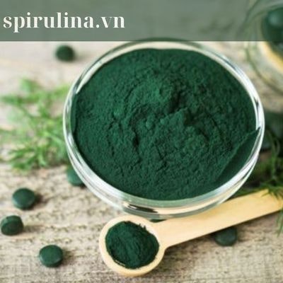 spirulina Tảo