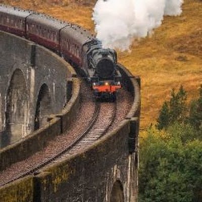 مباركي محمود