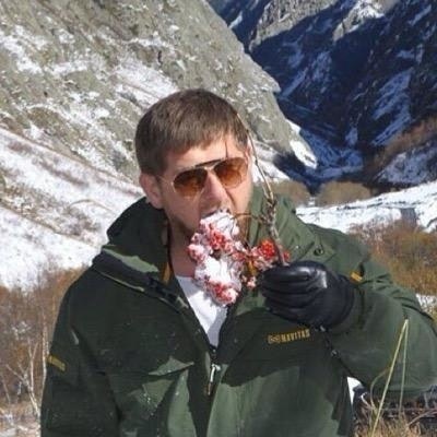 чеченский снегирь