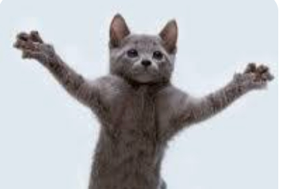 Jennifer Piehl Barker