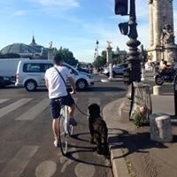 Luis Miguel Joves Molina