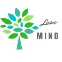 Lean Mind