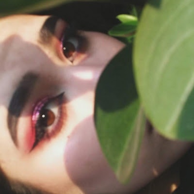 Агнесса Плещицер