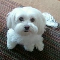 Yvonne Coats-Branley