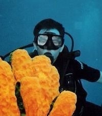 Dimitrios Polychronopoulos