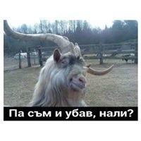 Христо Богданов