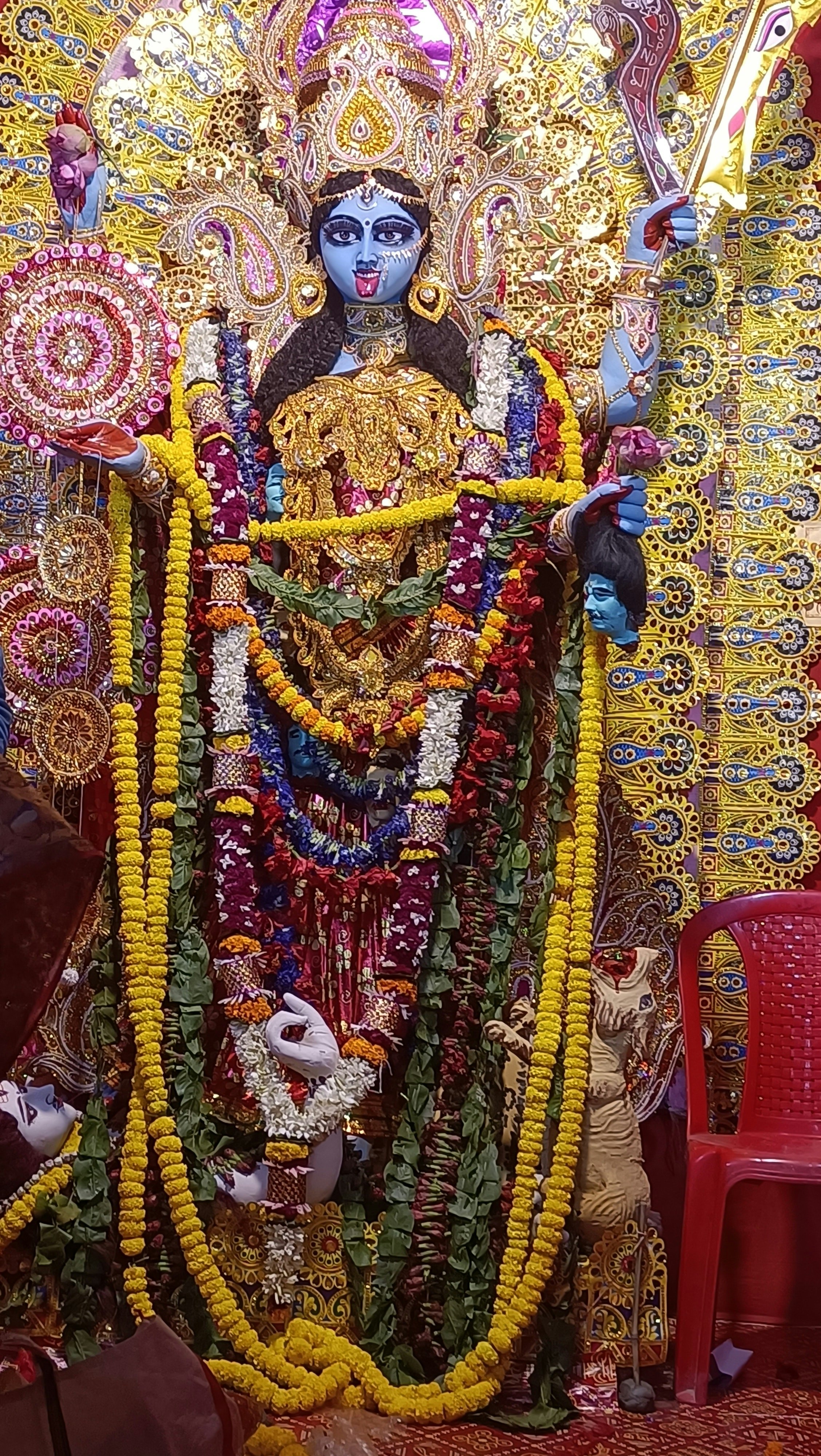 Sarbani Bhattacharjee