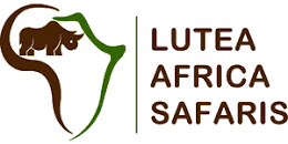 LUTEA SAFARIS
