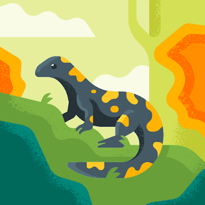 Hassanharbouy1234 Hassan harbouy hamad