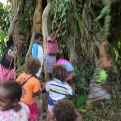FAO VANUATU RICARDO Dominguez