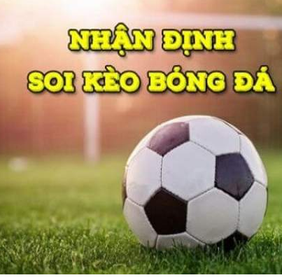 Nhận định bayern