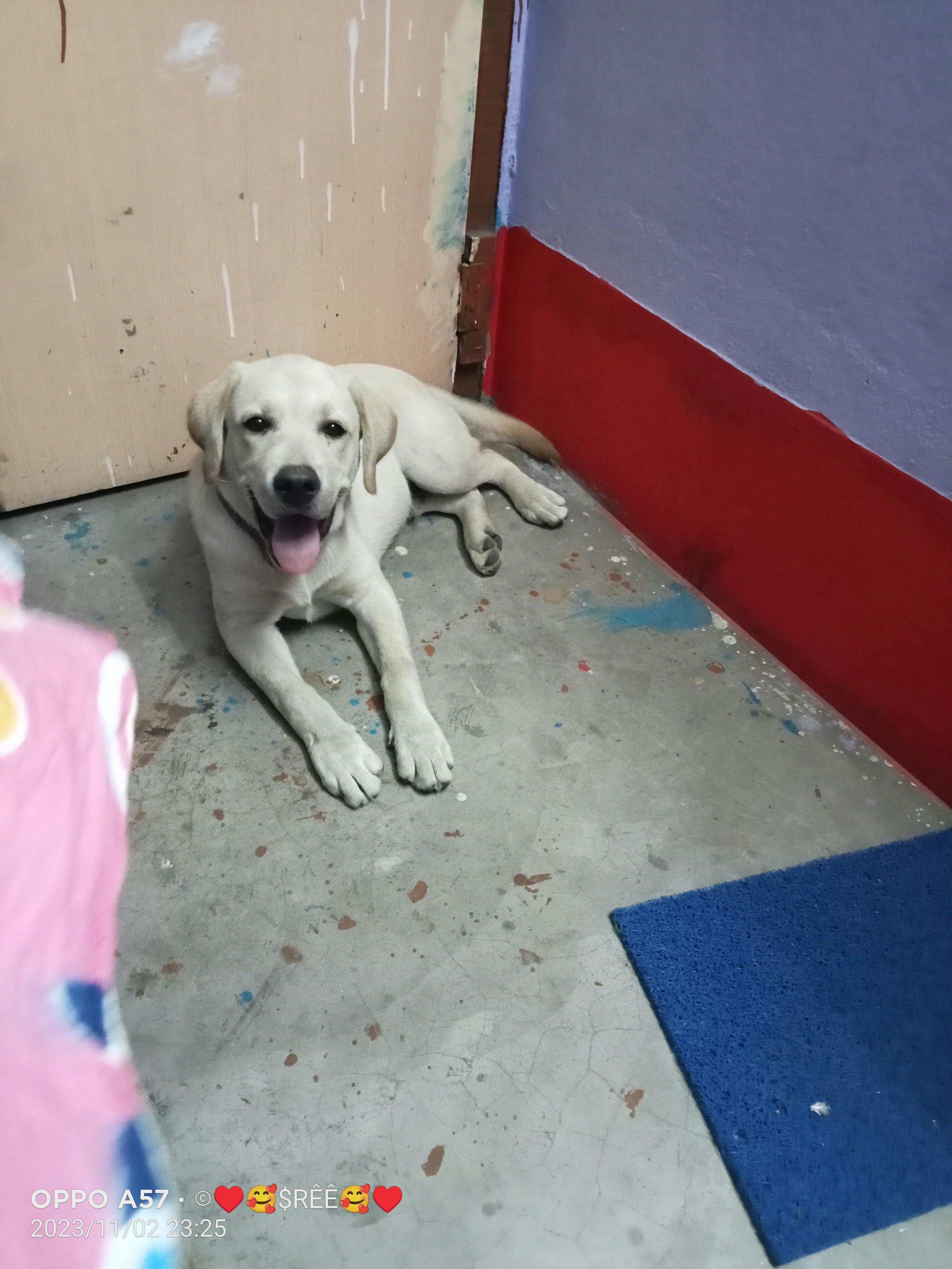 SREEPARNA CHAKRABORTY