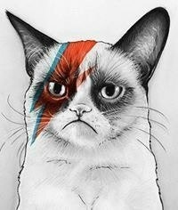 Carloss Valenzueela Ramiirez