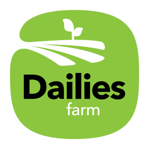 ProductHunt profile picture for @dailies