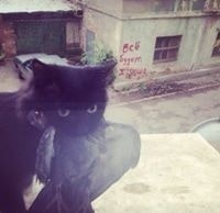 Алексей Козлов