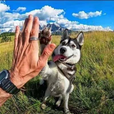 HAPPY“💙 De.Fi Army”