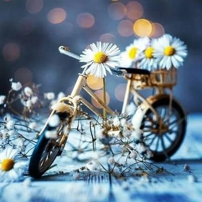 Moin Ullah (💙,🧡) (🐐)(.bit) (Mint Blockch