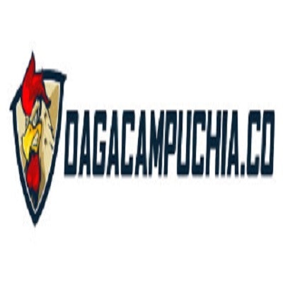 Campuchia Đá Gà