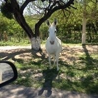 Roberto Carlos Rodriguez Montes