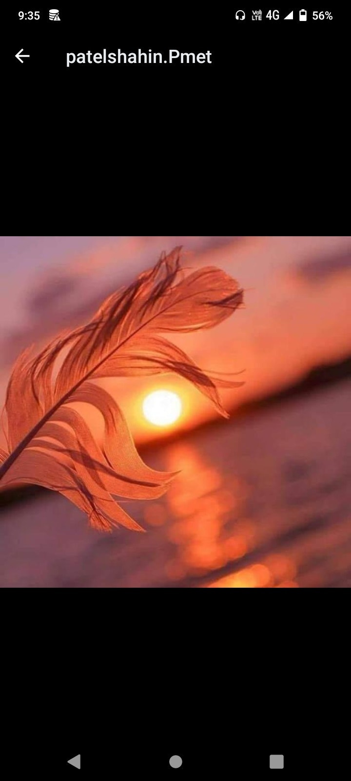 Rabiyabashari Saiyad