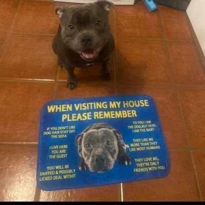 Li2616 💙 De.Fi Army