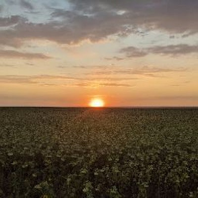 Анна Баичева