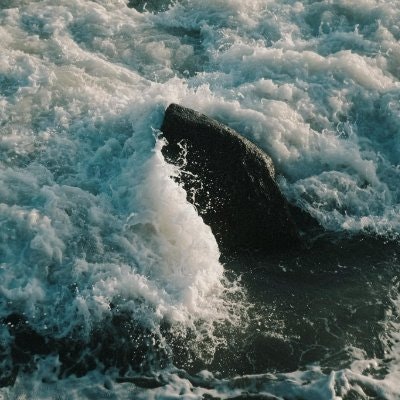 Đình Trợ Nguyễn