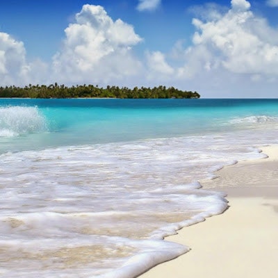 Сергій Музика