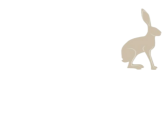 CH Mediation Ireland