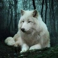 Mauricio Faria de Oliveira