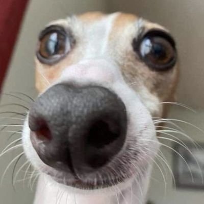 cake 🍰 | free tag! 🍀