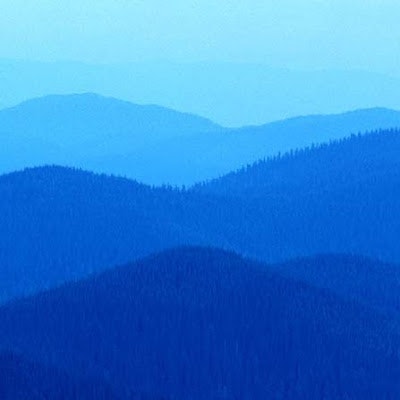 Nathan Wang (Nathan)