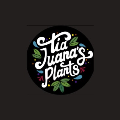 ProductHunt profile picture for @succulent