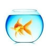 Виль Махмутов