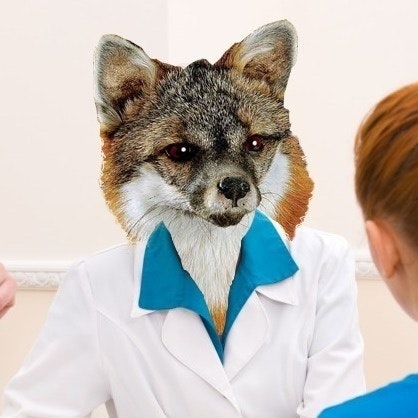 Rambling Taxidermist