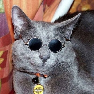 Valerii ❤️ Memecoin