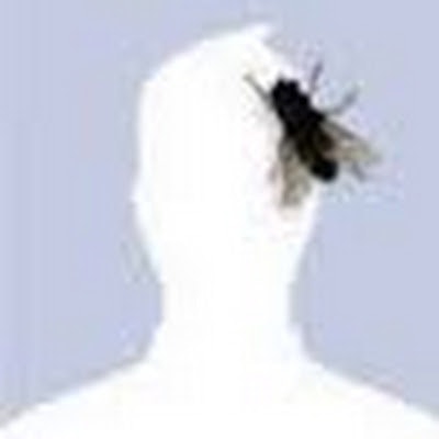 ꧍ꦹཌalbertleeꦍꦿ꧌