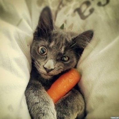 Artem ❤️ Memecoin