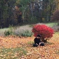 Nutthachai Chaojaroenpong